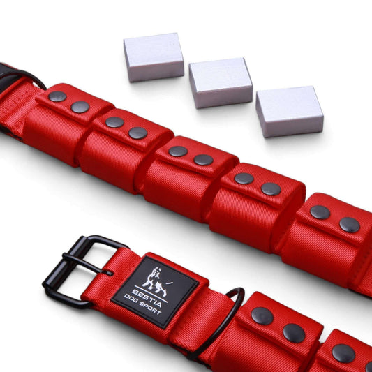 Weighted dog training collar- Red. Large breeds. 5 lbs total. removable weights M