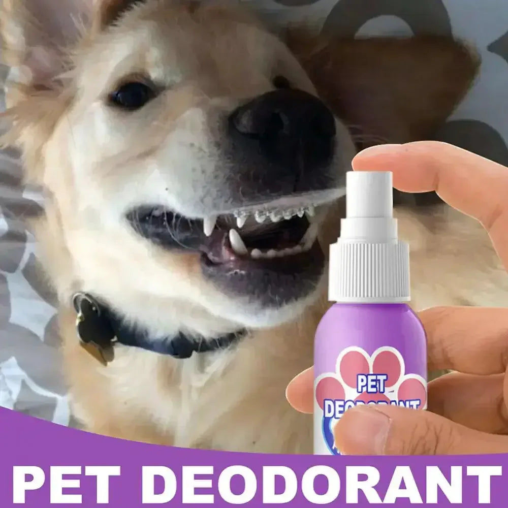 Pet Teeth Cleaning Spray United States
