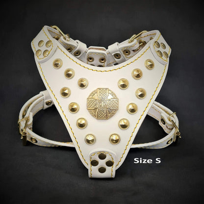 The ''Maximus'' harness White & Gold Small to Medium Size M / SET Harness&Leash