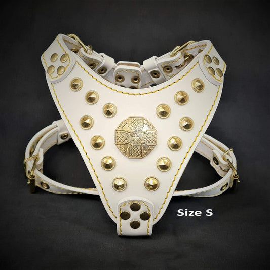 The ''Maximus'' harness White & Gold Small to Medium Size M / SET Harness&Leash