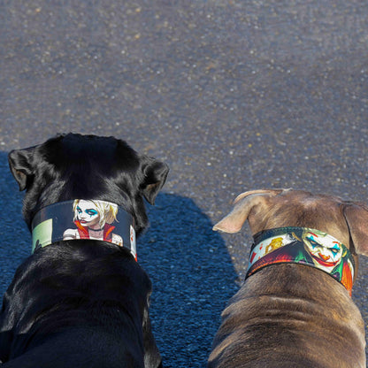 The Harley Limited Collar Size XXL - fitting a neck of 25.6 to 29.6 inch (65 cm - 75 cm) / SET Collar&Leash