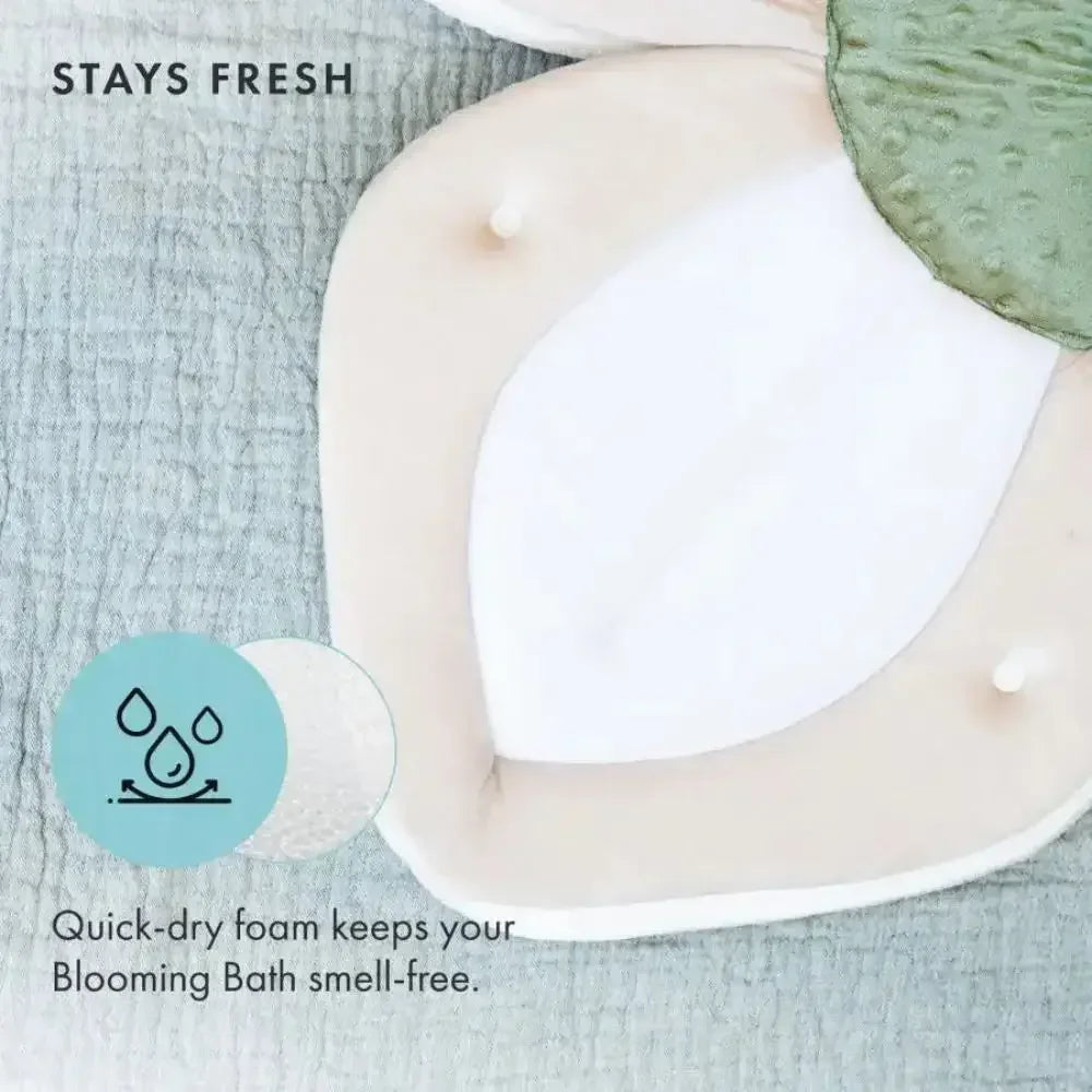 SafeNest Baby Bath Seat for Newborns & Infants Gray / United States