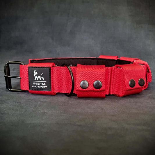 Weighted dog training collar- Red. Large breeds. 5 lbs total. removable weights M