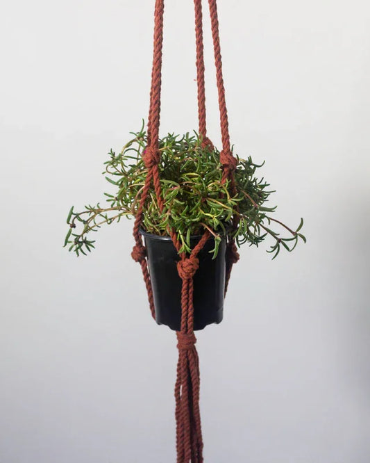 Bluefields Macrame Plant Holder Default Title