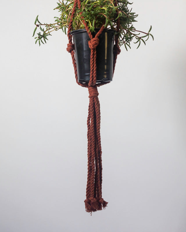 Bluefields Macrame Plant Holder