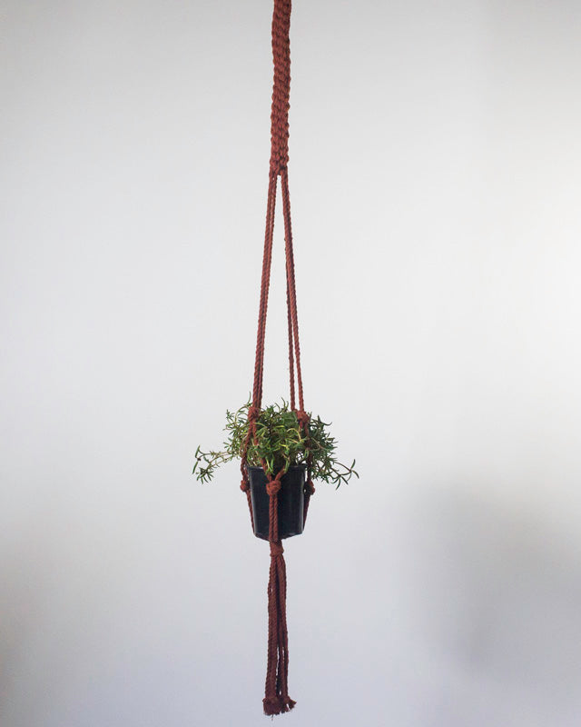 Bluefields Macrame Plant Holder