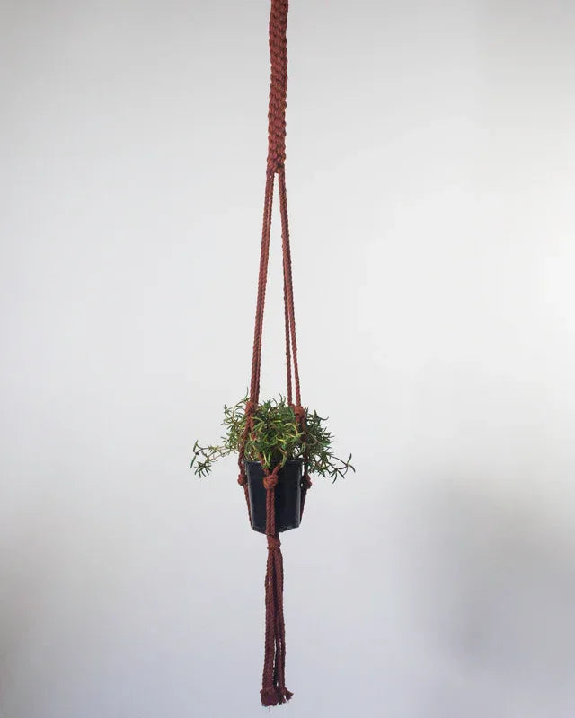 Bluefields Macrame Plant Holder Default Title