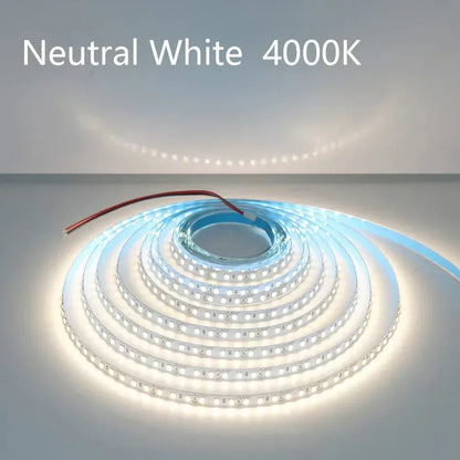Home Lamp Strip Blue / DC 12V