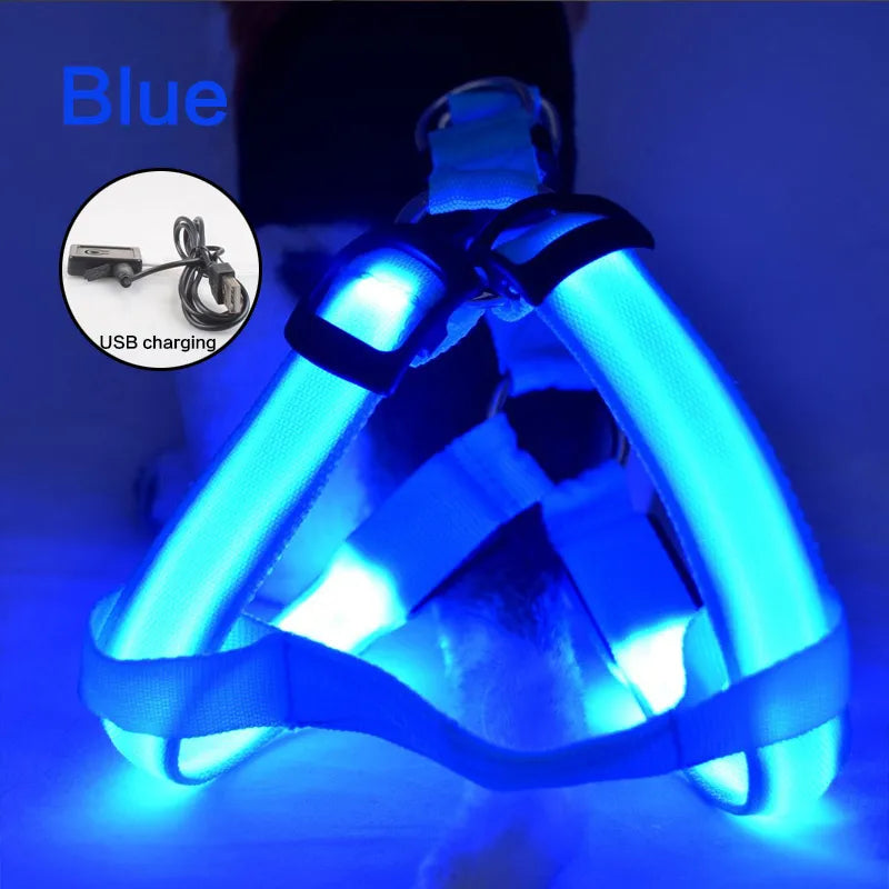 USB Rechargeable Luminous Dog Harness