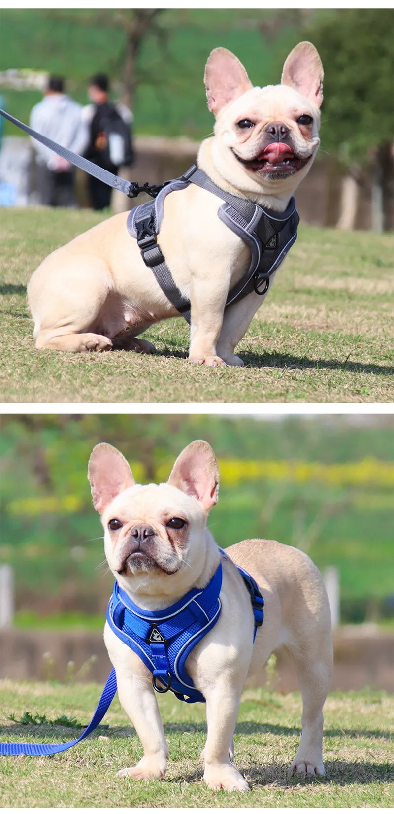 Adjustable Pet Harness Vest For Dogs