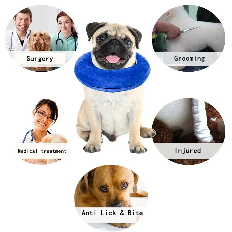 Inflatable Pet Collar Anti-bite Neck Blue / XS