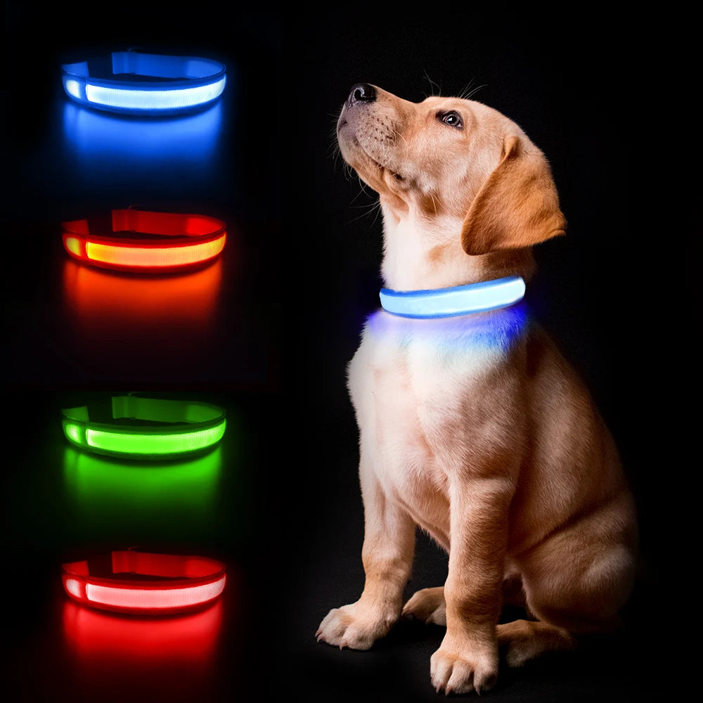 MASBRILL Dog Collar Luminous Pet Supplies Dog Collar Waterpoof Safety Collars