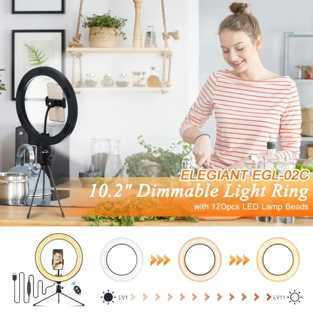 10" Table Top Selfie LED Lamp Default Title