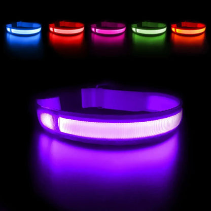 MASBRILL Dog Collar Luminous Pet Supplies Dog Collar Waterpoof Safety Collars Purple / United States / M 50X2.5cm