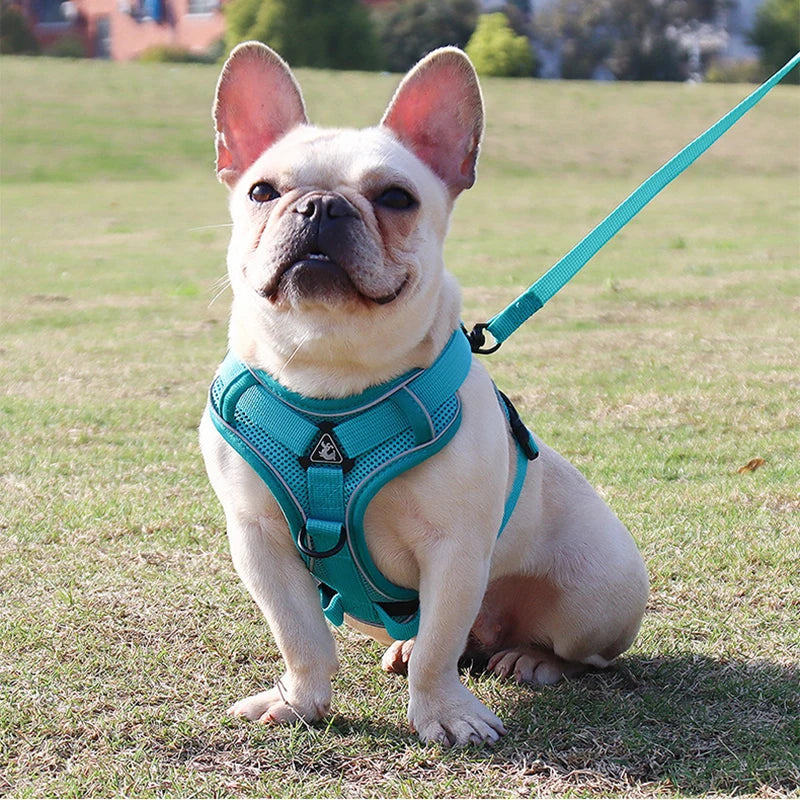 Adjustable Pet Harness Vest For Dogs