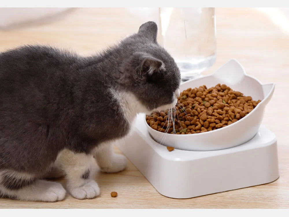 Pet Bowl Automatic Feeder