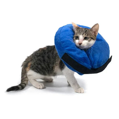 Inflatable Pet Collar Anti-bite Neck Blue / XS