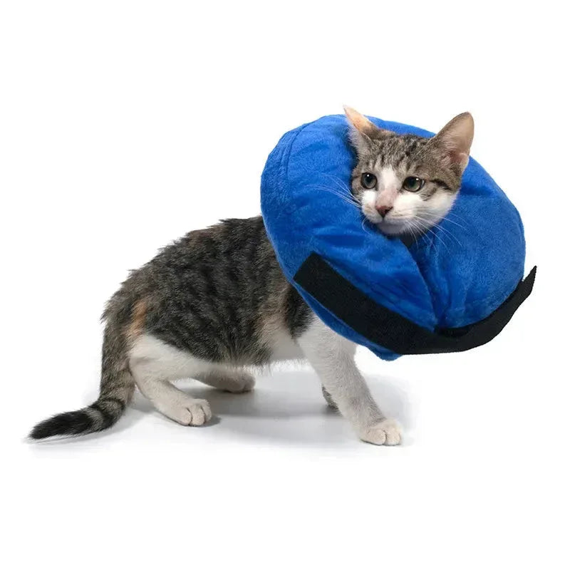 Inflatable Pet Collar Anti-bite Neck Blue / XS