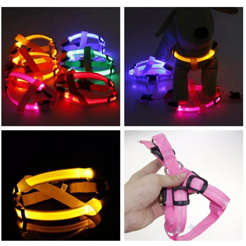 USB Rechargeable Luminous Dog Harness