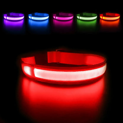 MASBRILL Dog Collar Luminous Pet Supplies Dog Collar Waterpoof Safety Collars Red / United States / M 50X2.5cm