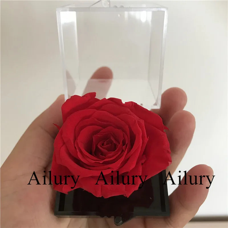 5cm Artifical Flower,Rose Gifts,Plastic Transparent Boxes