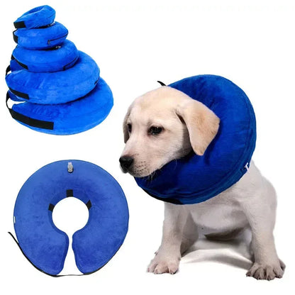 Inflatable Pet Collar Anti-bite Neck Blue / XS