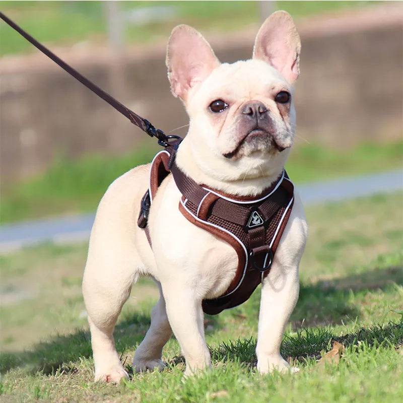 Adjustable Pet Harness Vest For Dogs