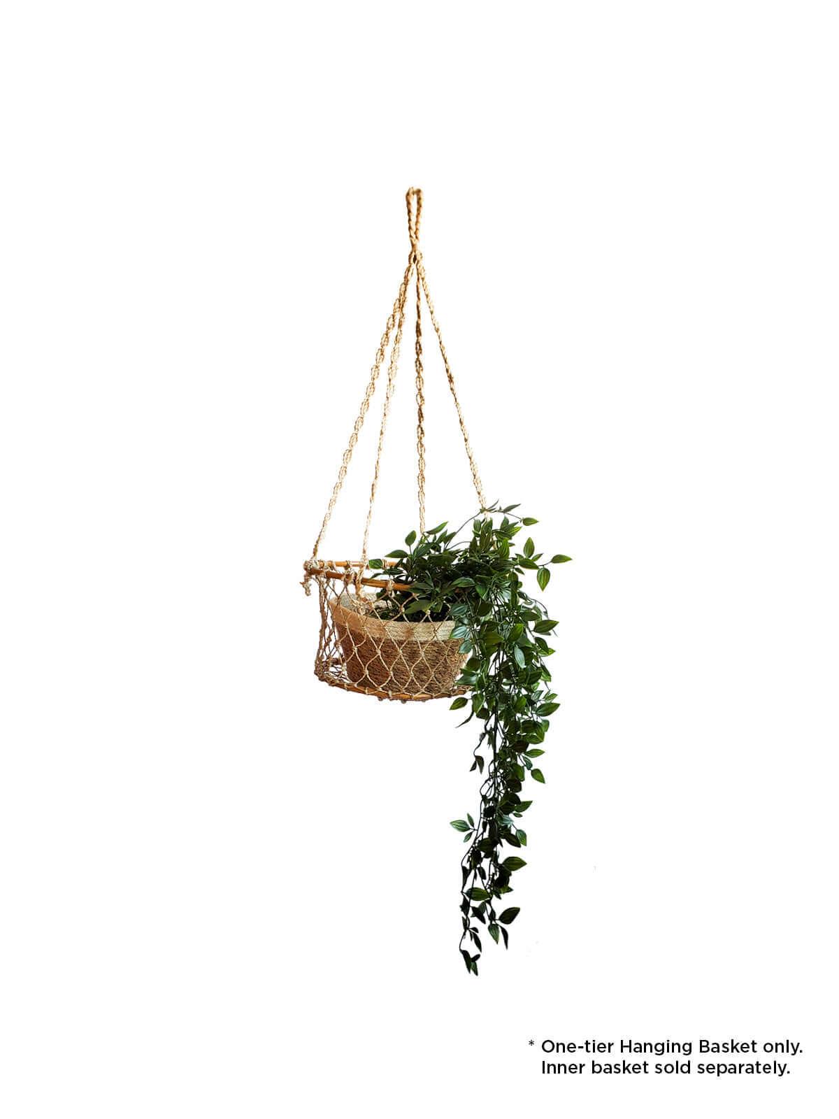 Jhuri Single Hanging Basket Default Title