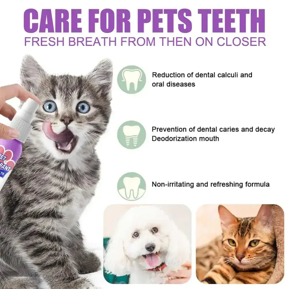Pet Teeth Cleaning Spray United States