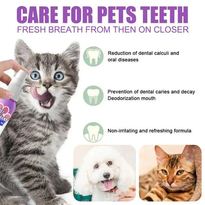 Pet Teeth Cleaning Spray United States