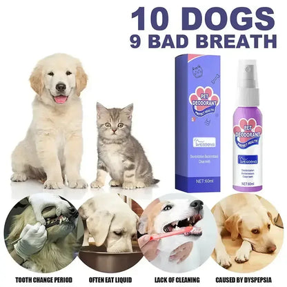 Pet Teeth Cleaning Spray United States