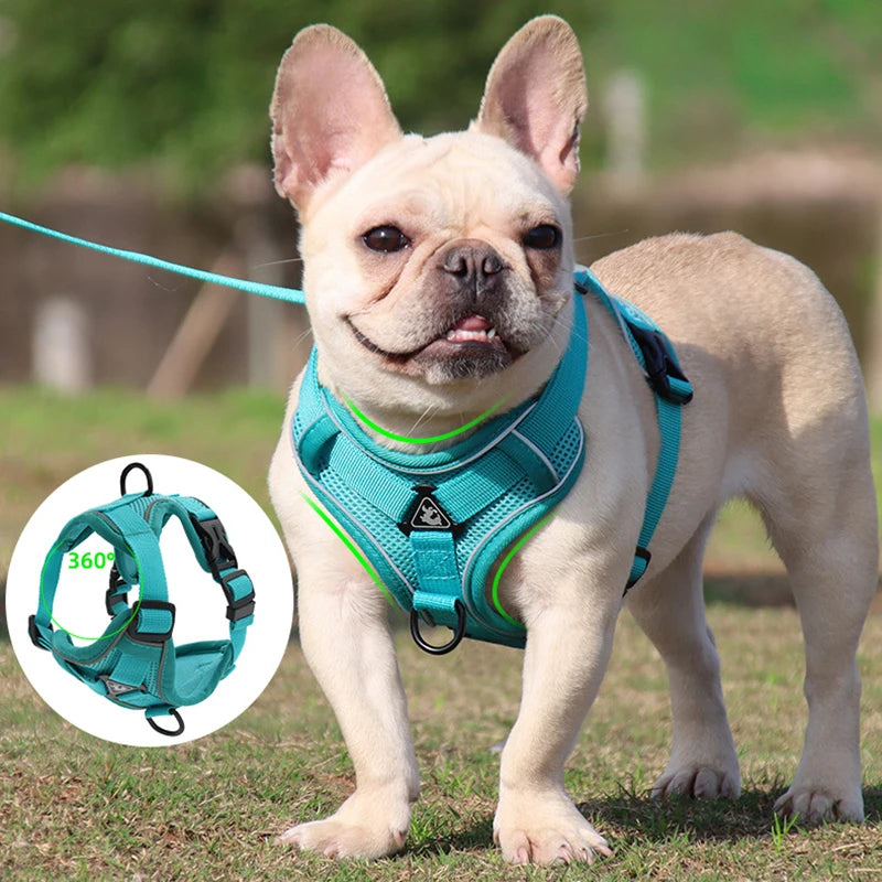 Adjustable Pet Harness Vest For Dogs