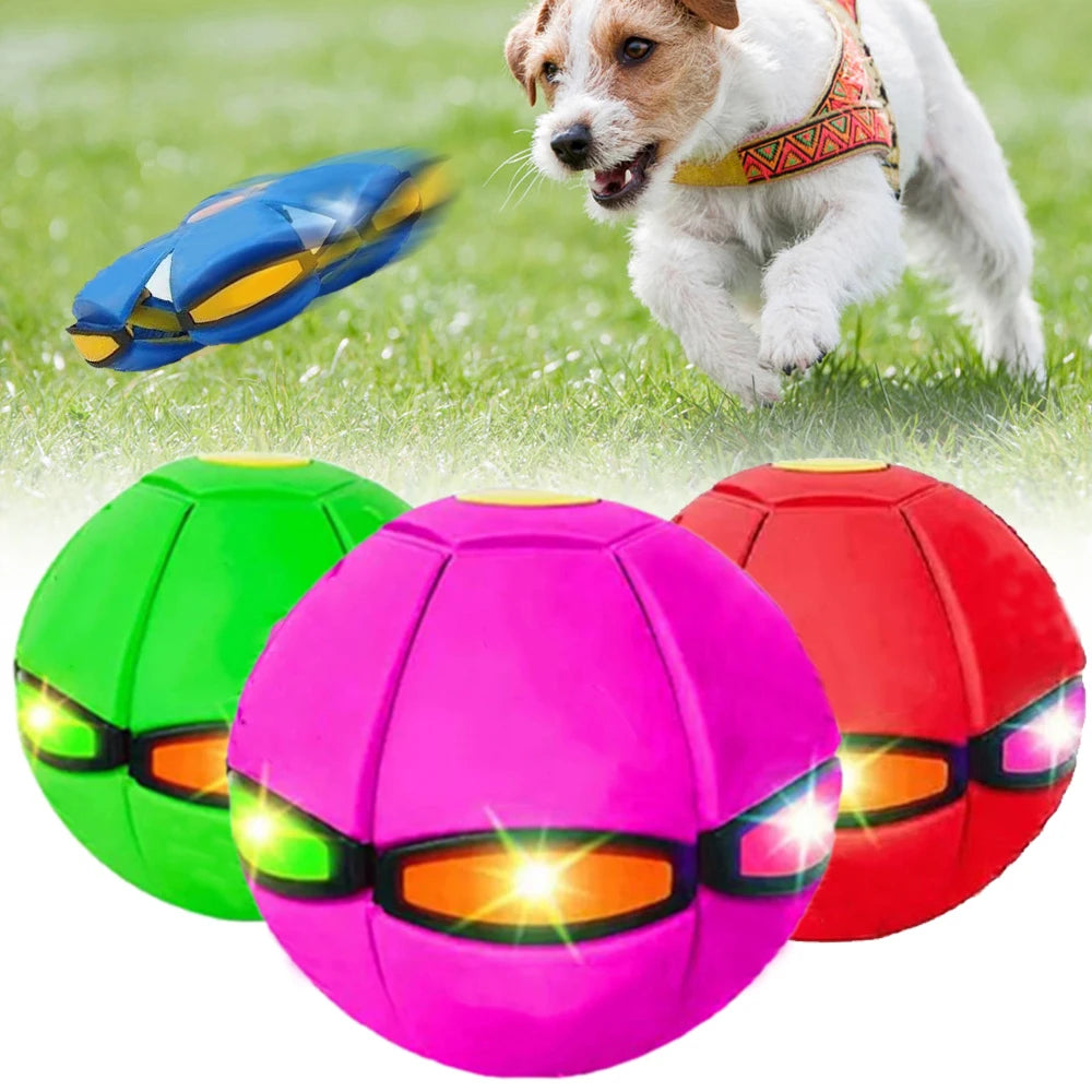 Pet Dog Toys Flying Saucer Ball Magic Deformation