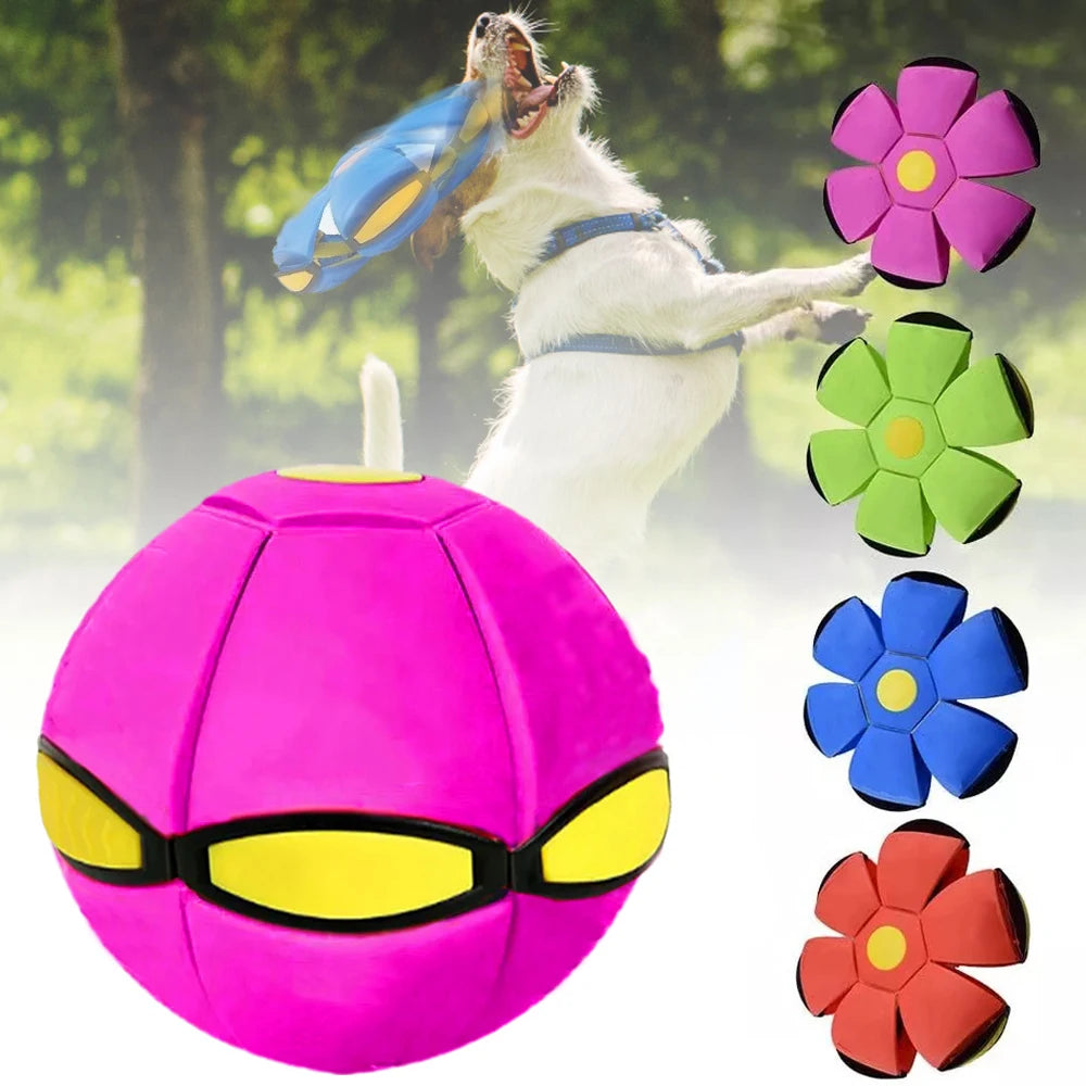 Pet Dog Toys Flying Saucer Ball Magic Deformation