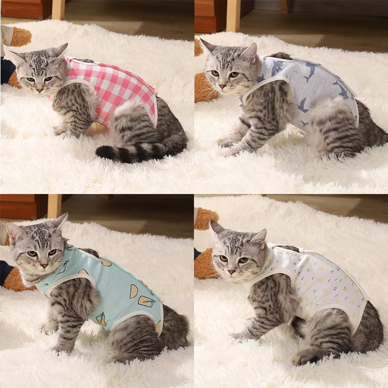 Cat sterilization suit