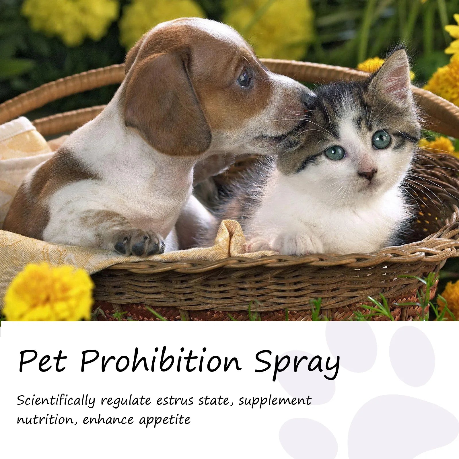 Pet Estrus Calming Spray Cat Anti Anxiety Liquid