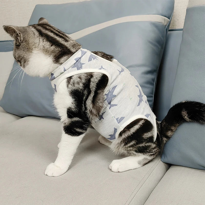 Cat sterilization suit