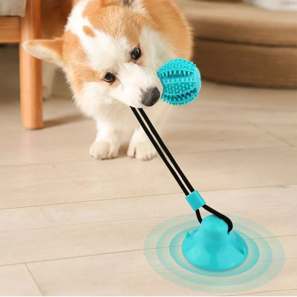 Food Dispenser Suction Cup