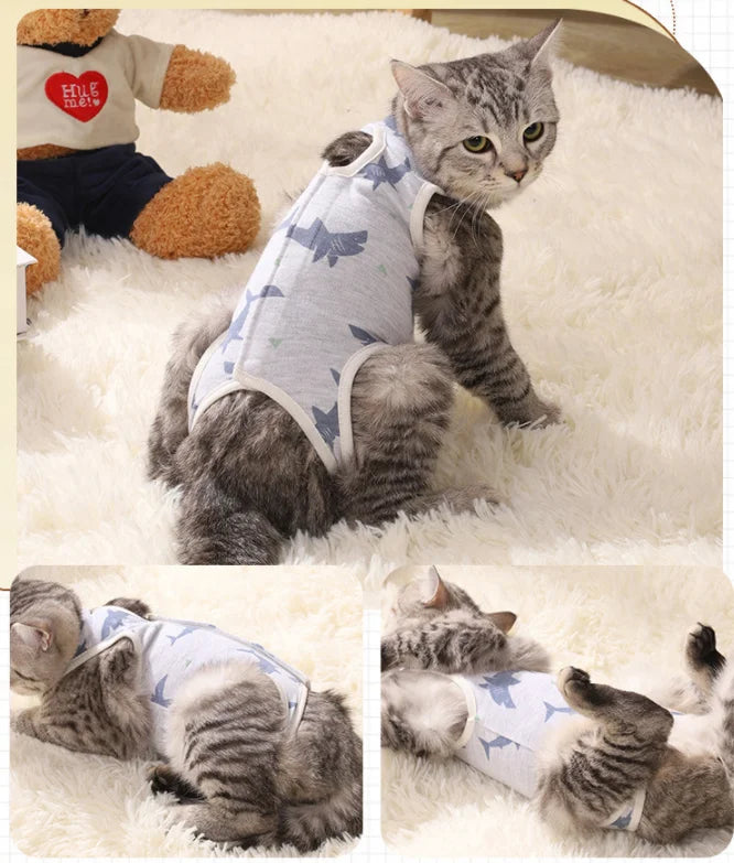 Cat sterilization suit