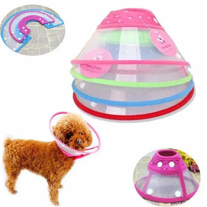 Collars For Anti-Bite Lick Surgery Wound Red / S