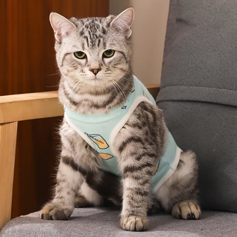 Cat sterilization suit