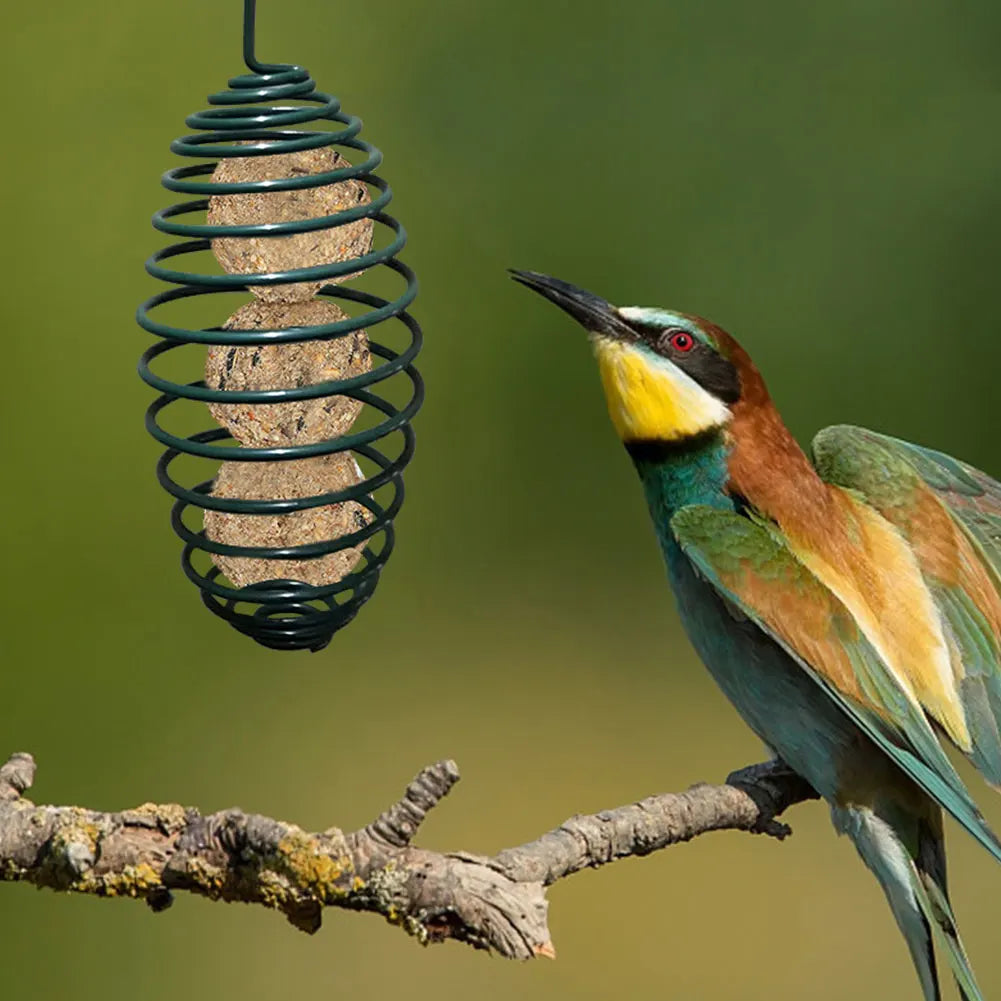 Automatic Wild Bird Spiral Feeding