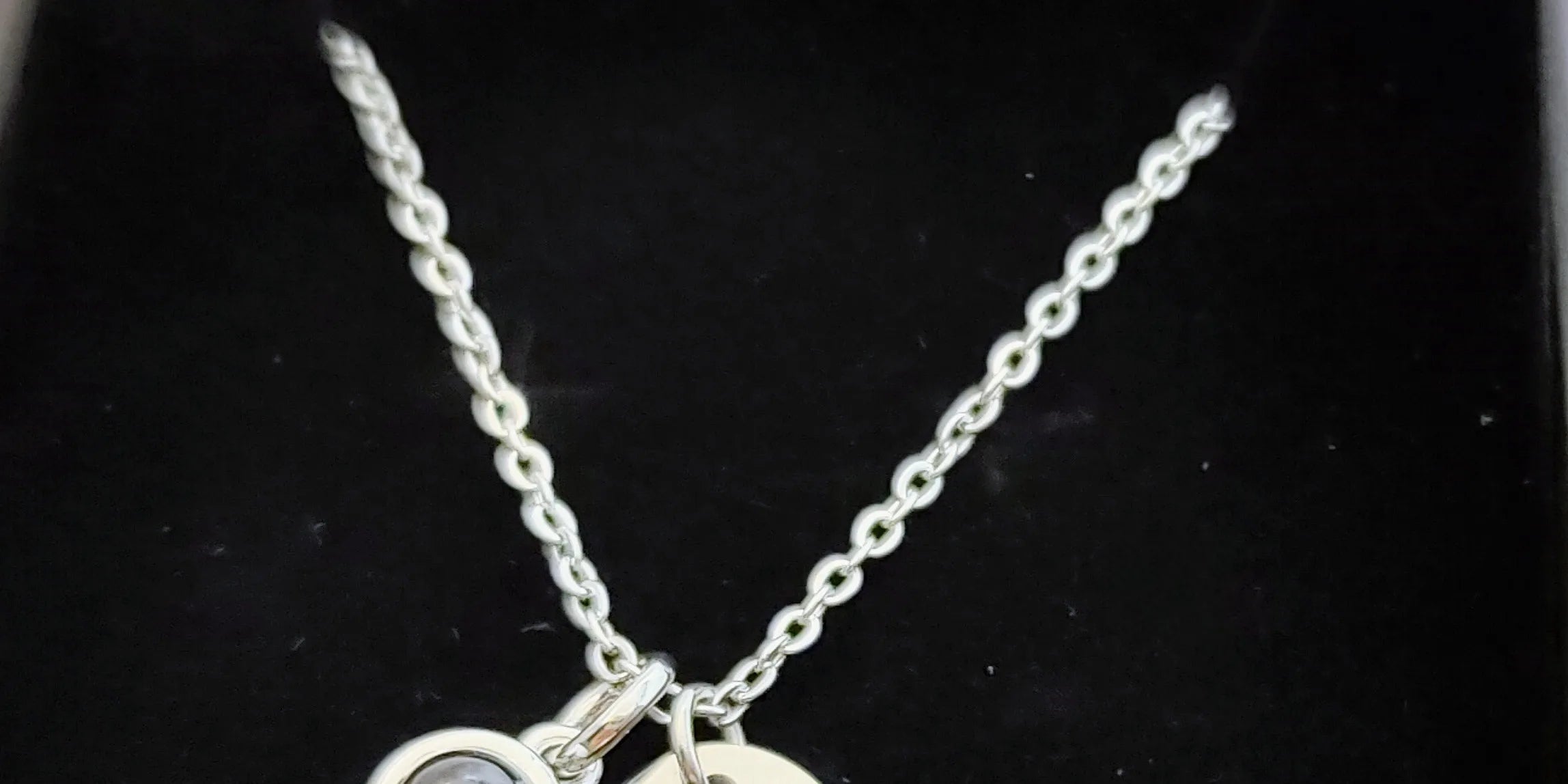 Custom Oval Photo Projection Necklace Birth Flower Name Pendant