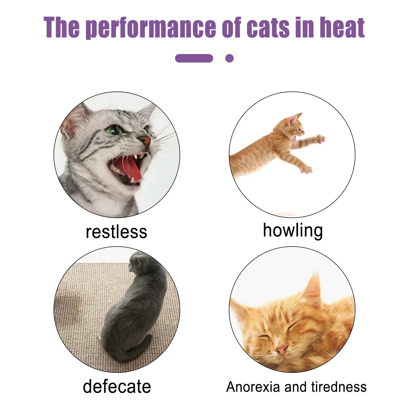 Pet Estrus Calming Spray Cat Anti Anxiety Liquid Default Title