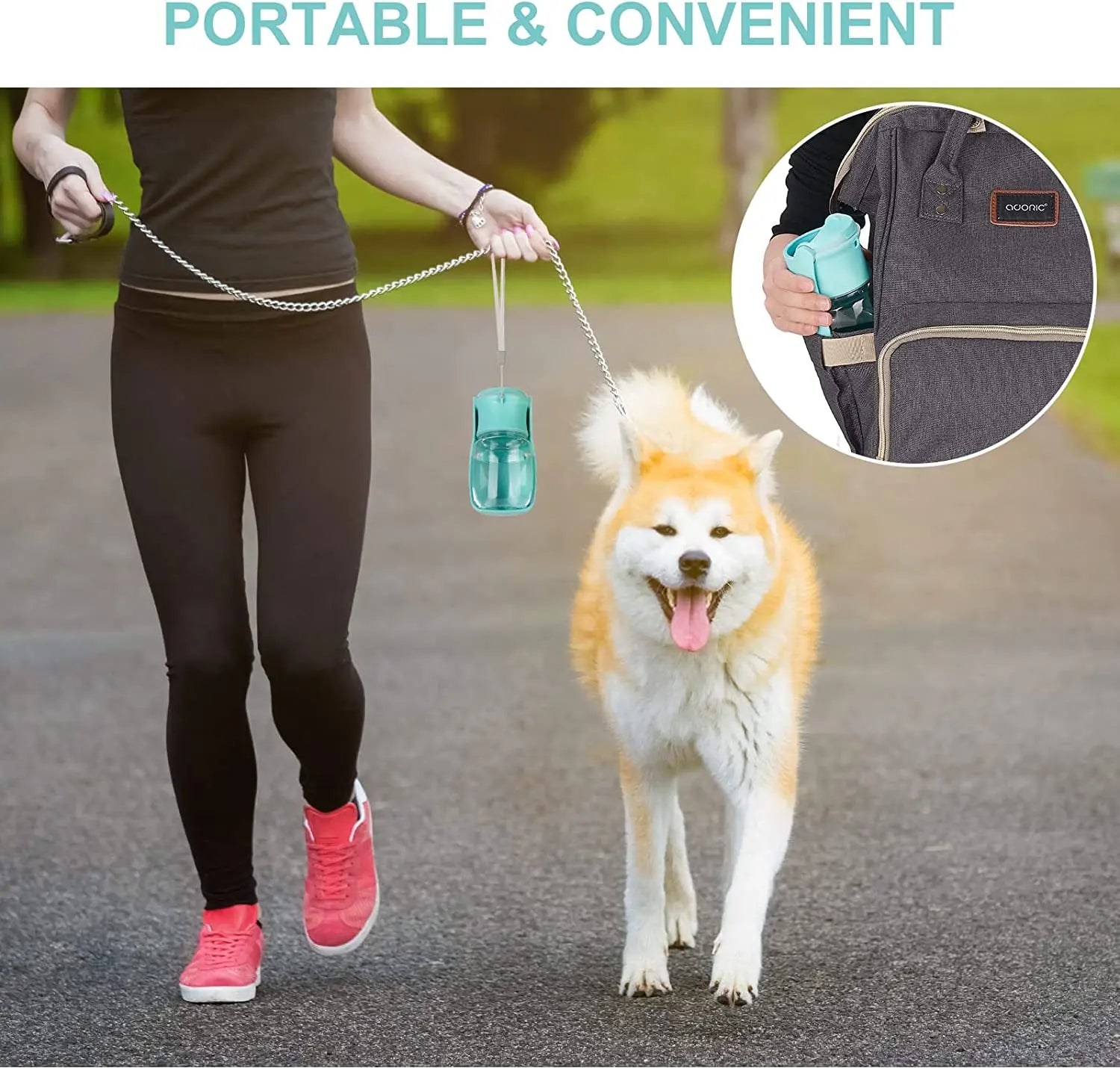 Foldable Pet Water Dispenser