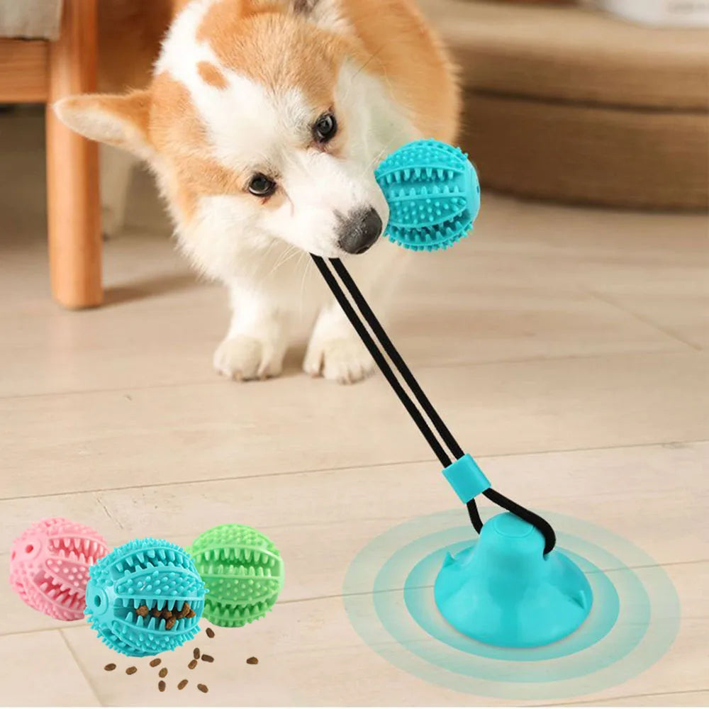 Food Dispenser Suction Cup