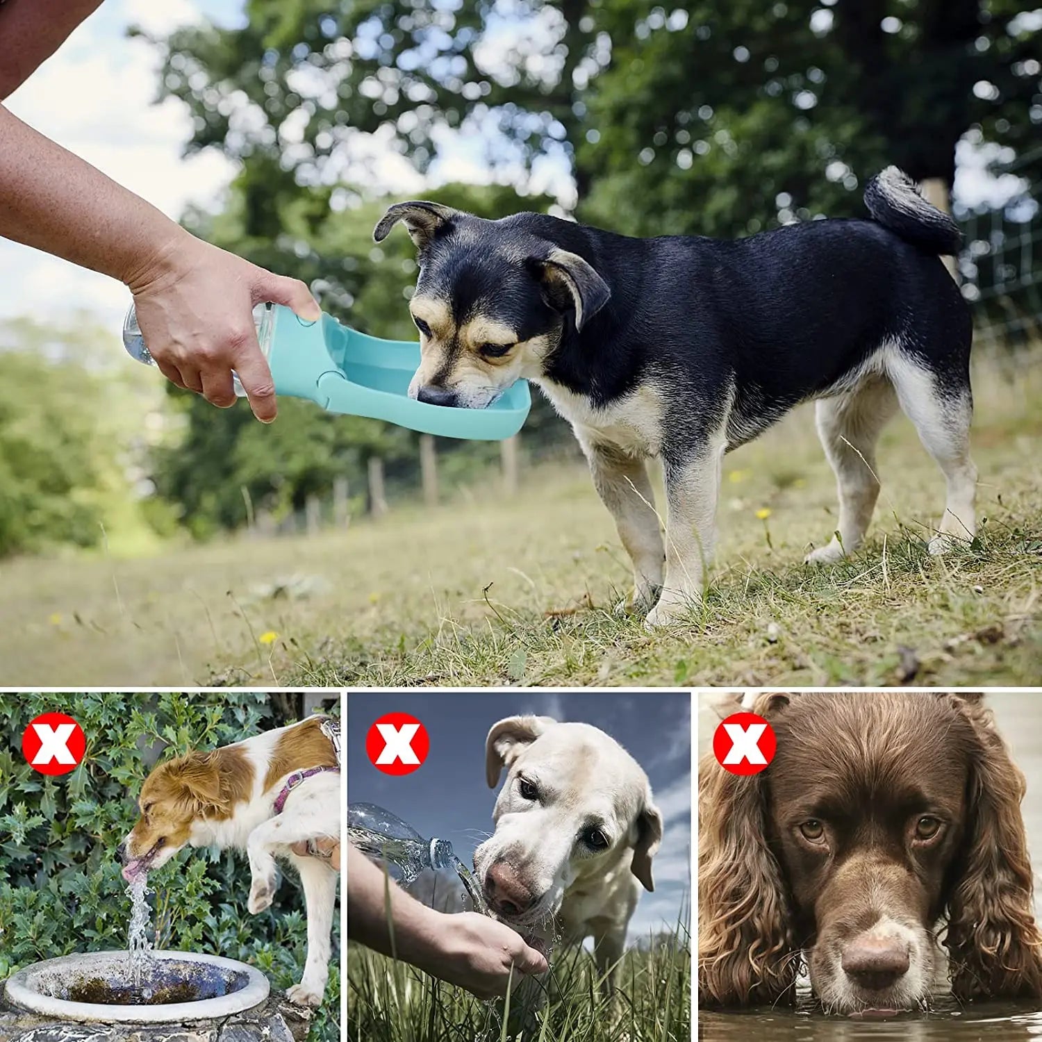 Foldable Pet Water Dispenser