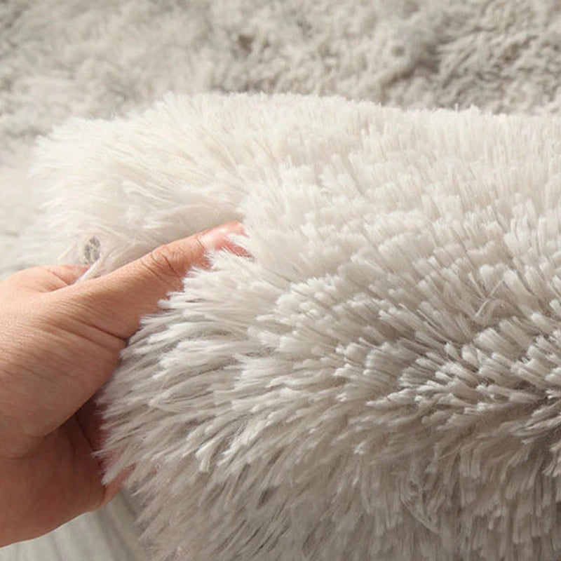 Fluffy Round Carpet In The Living Room