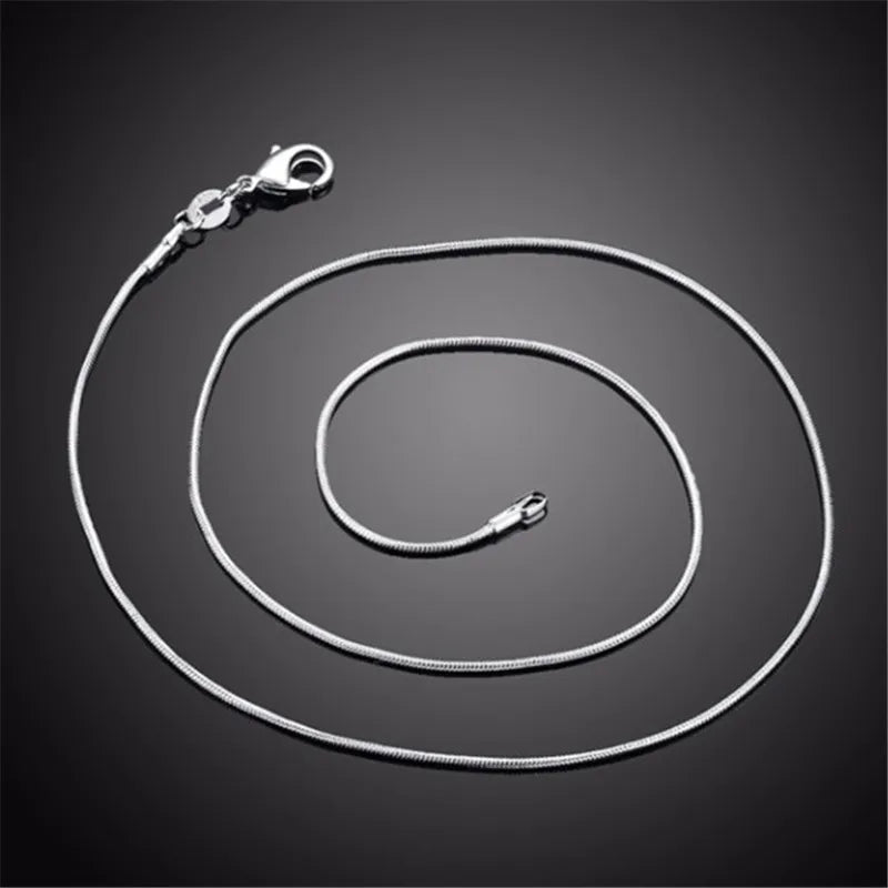 Sterling Silver Chain Fashion Necklace