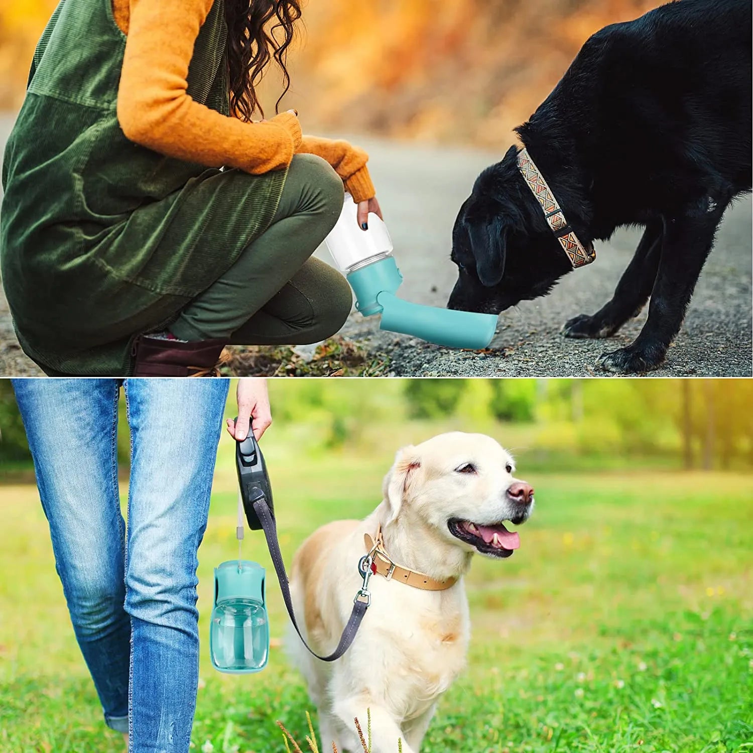 Foldable Pet Water Dispenser